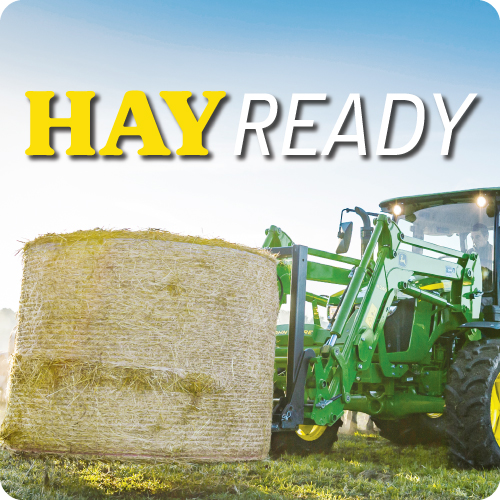 Farmer holding fresh cut hay